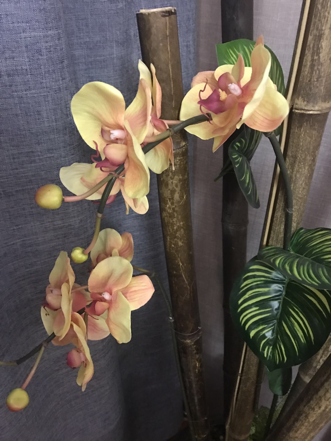 无锡浅深按摩价格揭秘：品质享受，价格透明